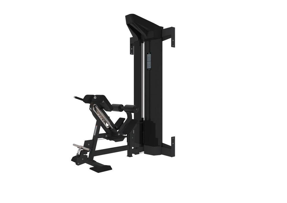Back Extension Module (Torque Fitness)