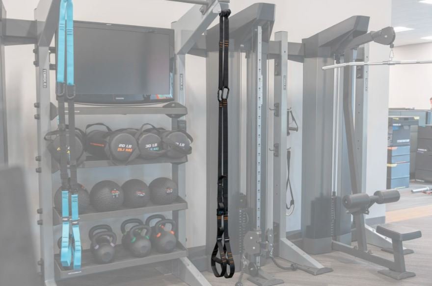 Black Pro Suspension Straps (Torque Fitness)