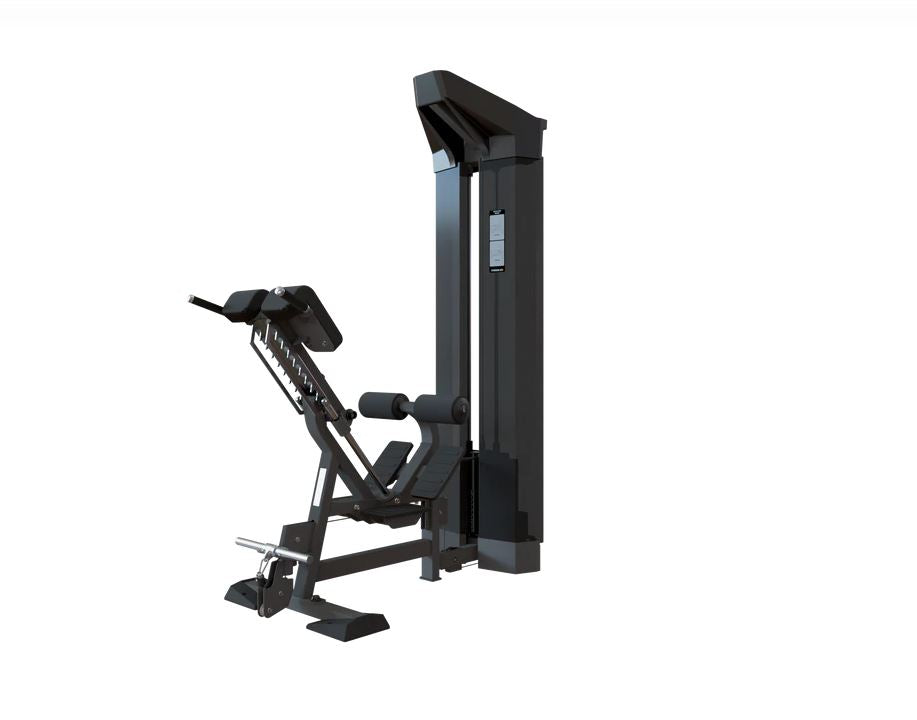 Back Extension Wall Mount Module (Torque Fitness)