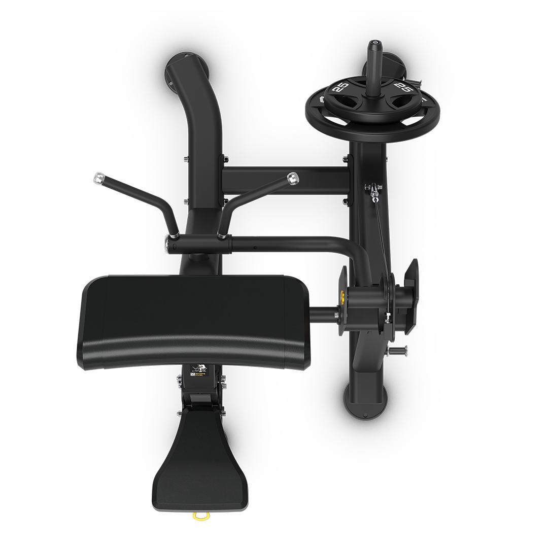 Bicep Curls Plate-Loaded (Vision Fitness)